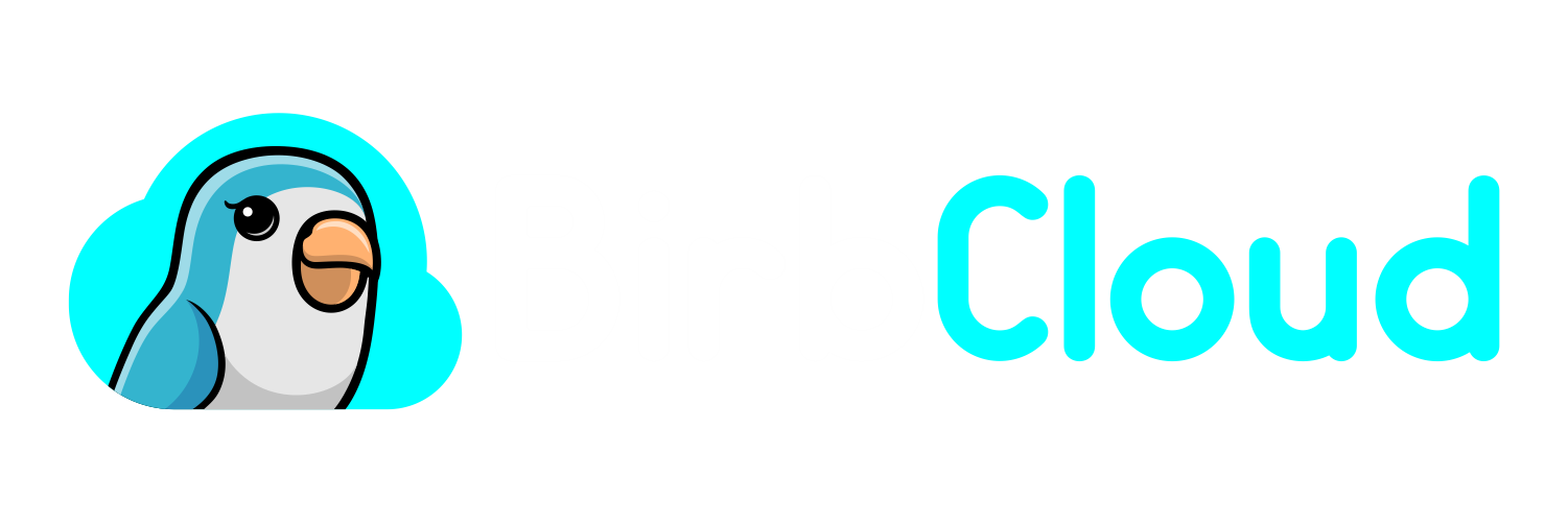 BirbTV